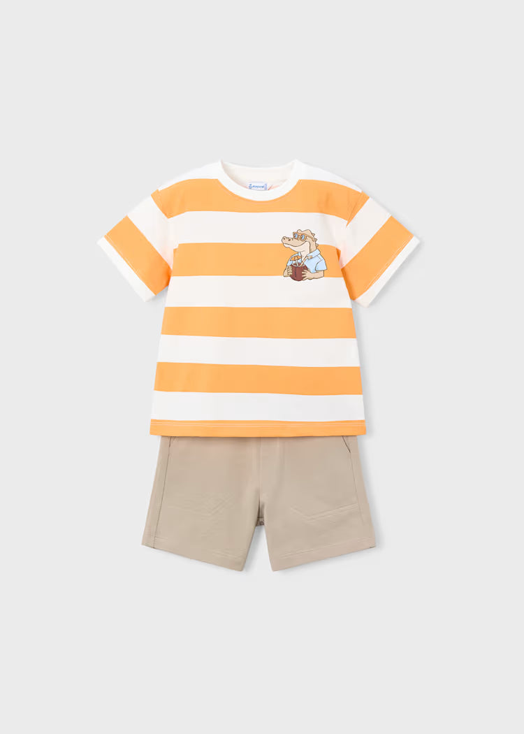 Conjunto calças e t-shirt riscas menino
