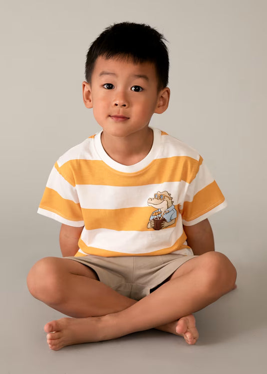 Conjunto calças e t-shirt riscas menino