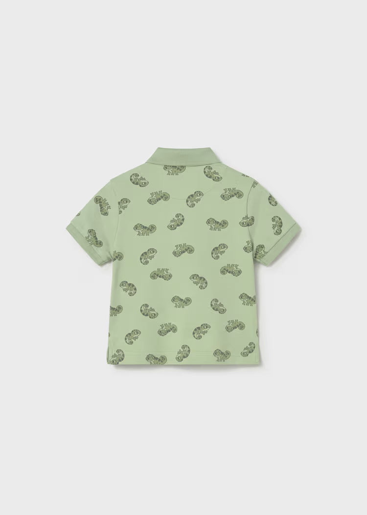 Polo animais bebé